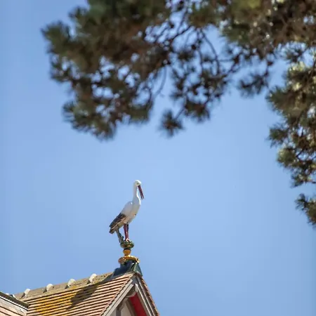 La Normande - Trois Pieces - Centre Lejlighed