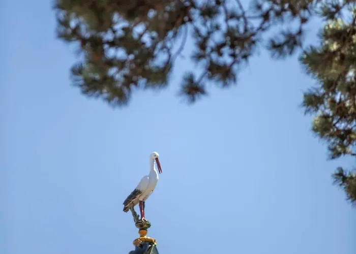 La Normande - Trois Pieces - Centre Apartament